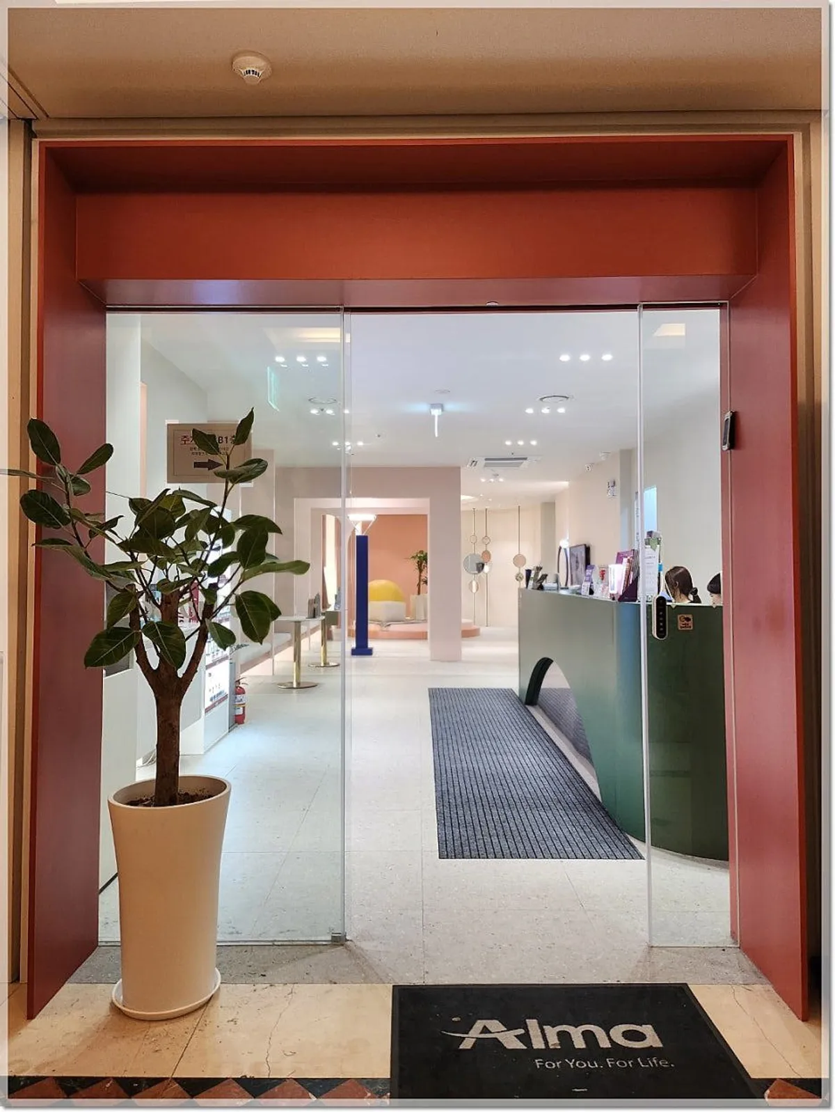 Why Korean Clients Trust DoctorPetit Myeongdong